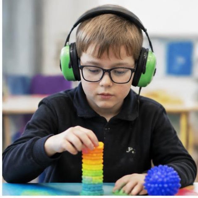 Autism Full Day training